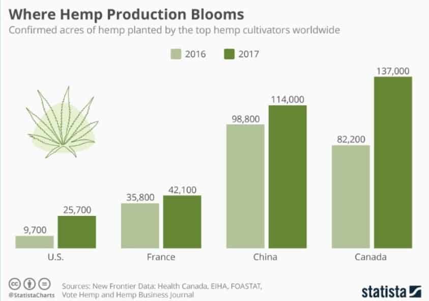 Chart Where Hemp Production Blooms cannabis stack