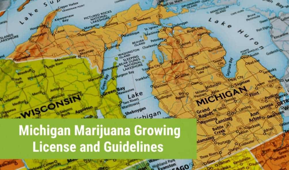 Michigan marijuana growing license