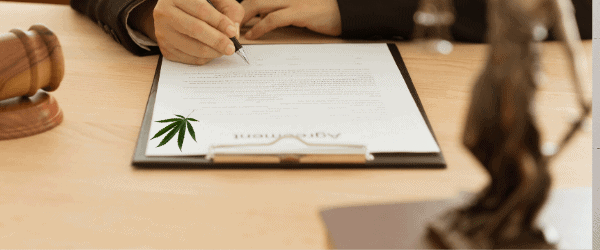 cannabis lawyer